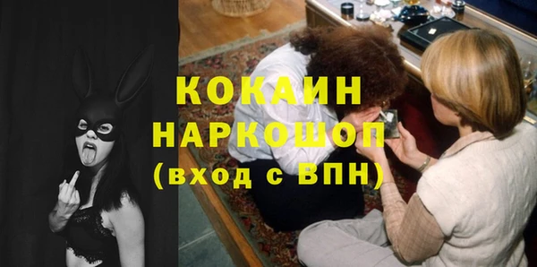 сатива Кулебаки