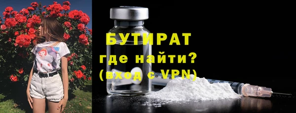 сатива Кулебаки