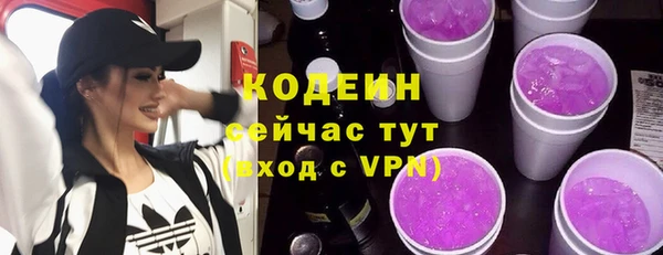 сатива Кулебаки