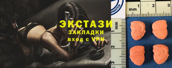 сатива Кулебаки