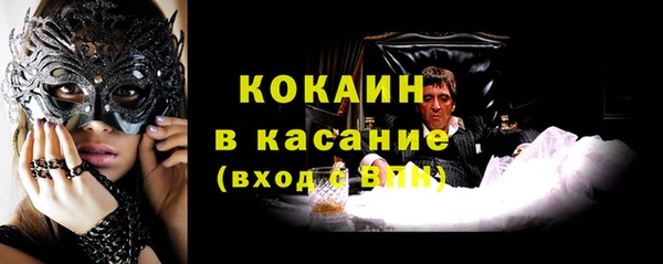 сатива Кулебаки
