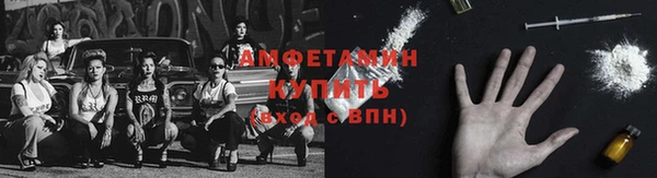 сатива Кулебаки