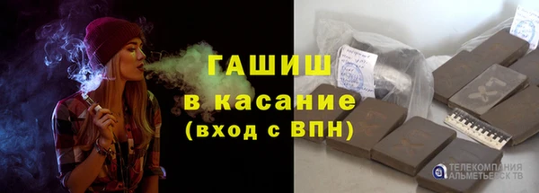 сатива Кулебаки