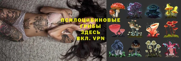 гашик Кукмор