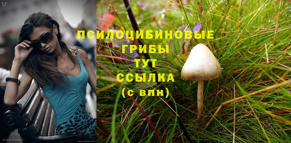 гашик Кукмор