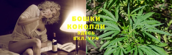 сатива Кулебаки